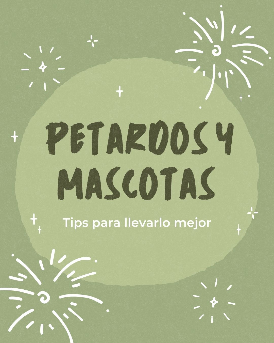 petardos y mascotas tips para llevarlo mejor
