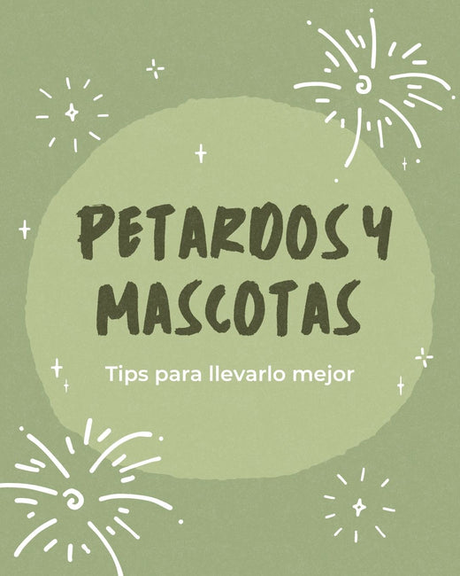 petardos y mascotas tips para llevarlo mejor