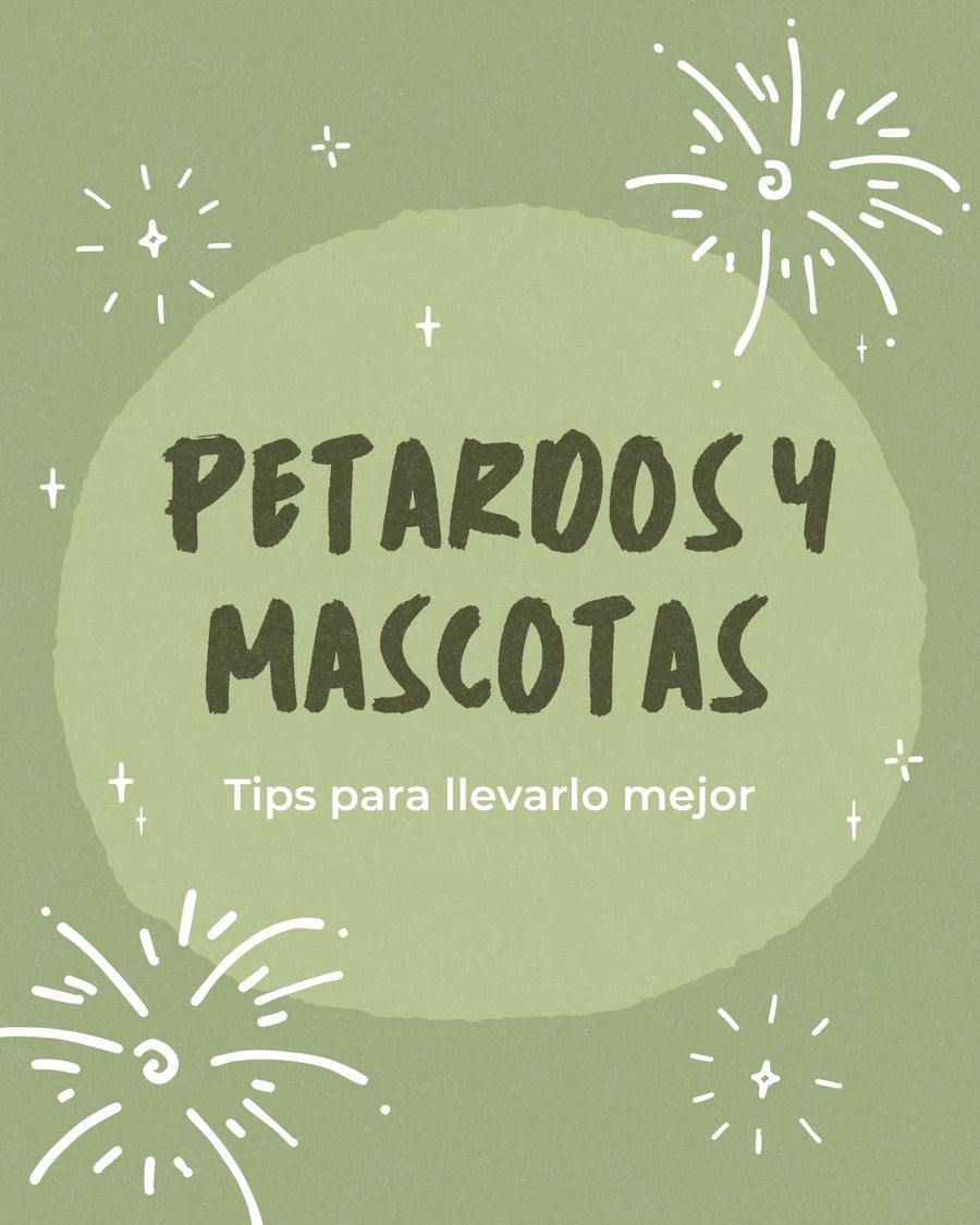 petardos y mascotas tips para llevarlo mejor