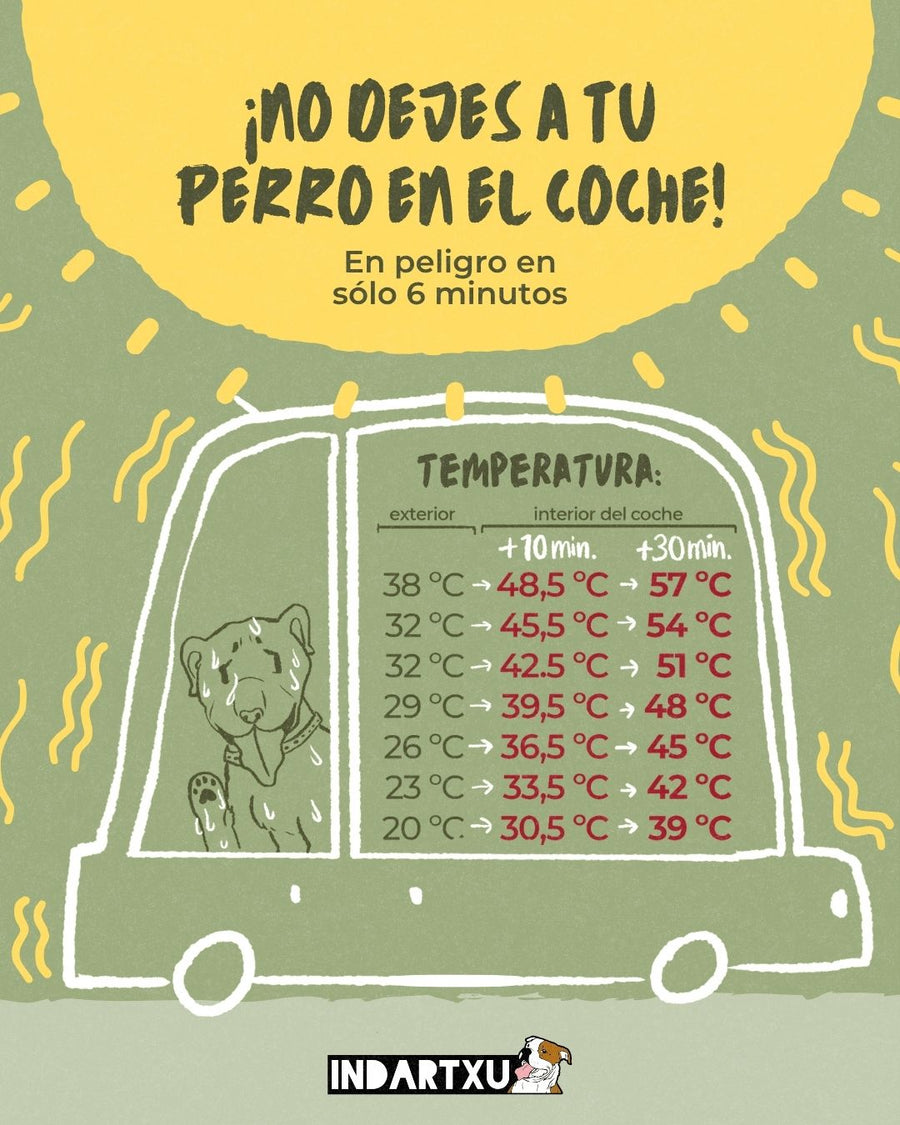 ¡NO DEJES A TU PERRO EN EL COCHE