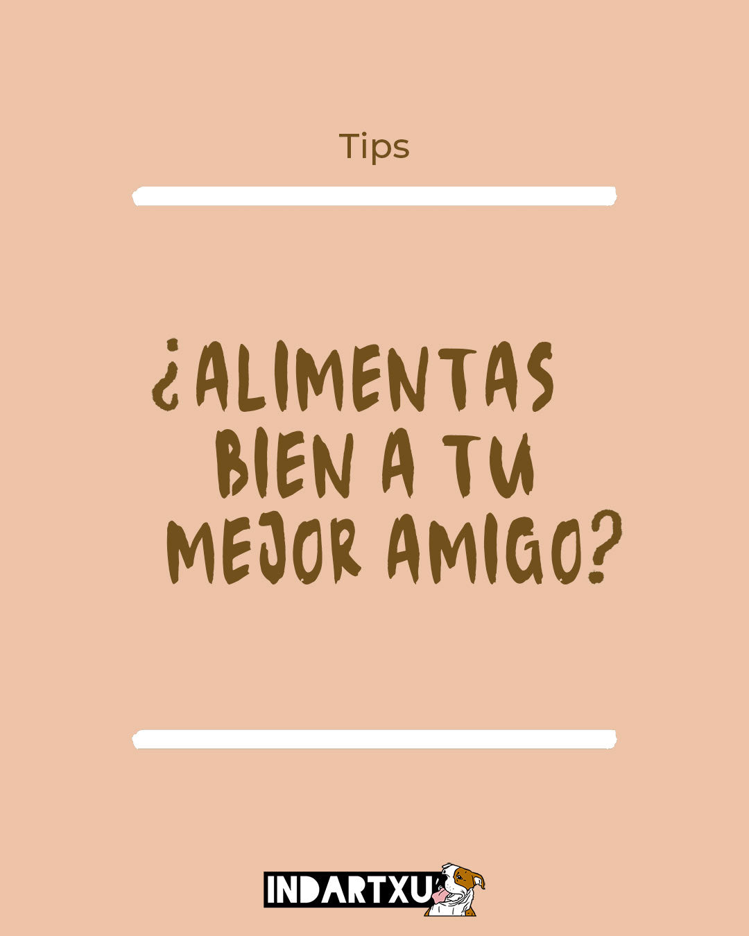 ¿Alimentas bien a tu mejor amigo? Guía para saber leer las etiquetas de pienso