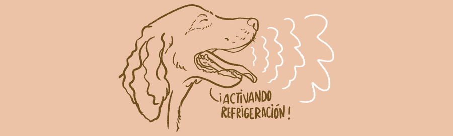 ilustración hecha por blanca castillo de un perro. Estilo lineal