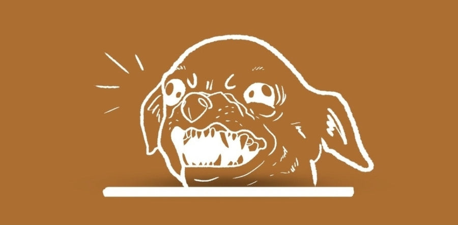 ¿Tu perro es reactivo?