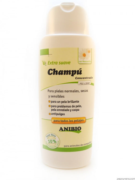 CHAMPUS