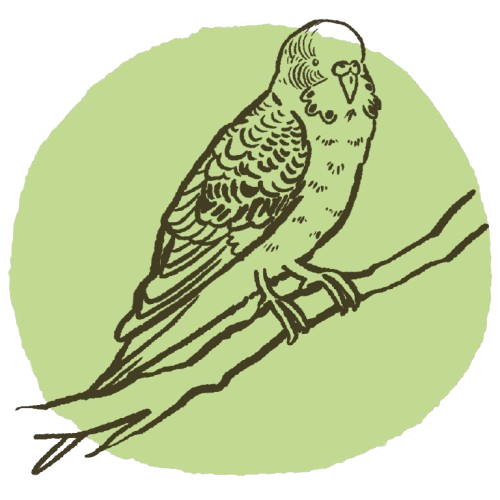 AVES