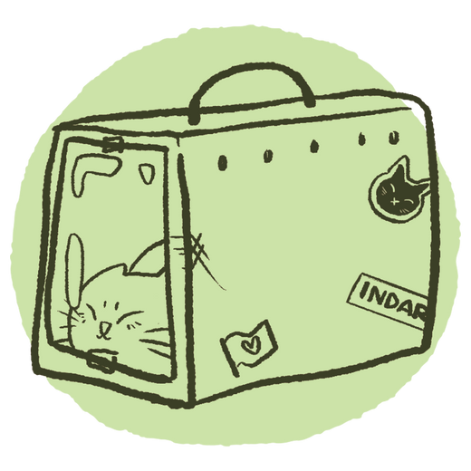 CASETAS, TRANSPORTINES Y VIAJE