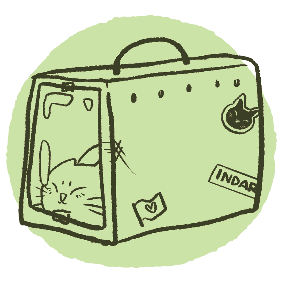 CASETAS, TRANSPORTINES Y VIAJE