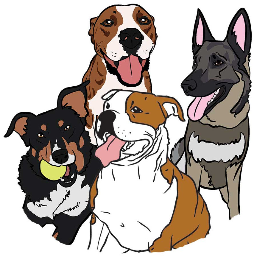 ALIMENTO COMPLETO SUPER PREMIUM PERRO TODAS LAS RAZAS