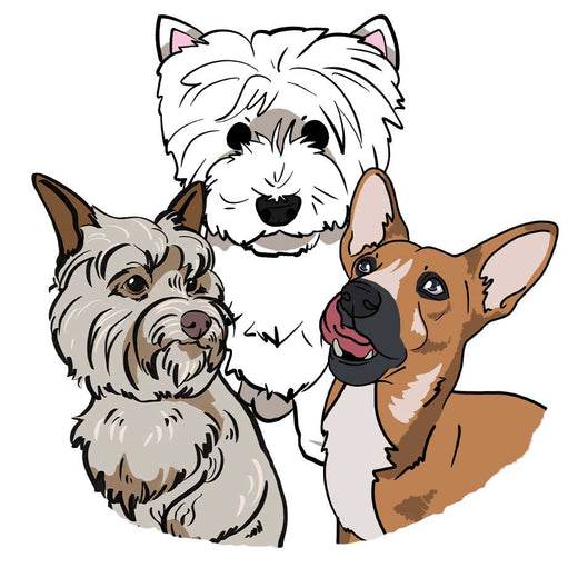 ALIMENTO COMPLETO SUPER PREMIUM PERRO RAZAS PEQUEÑAS-MEDIANAS