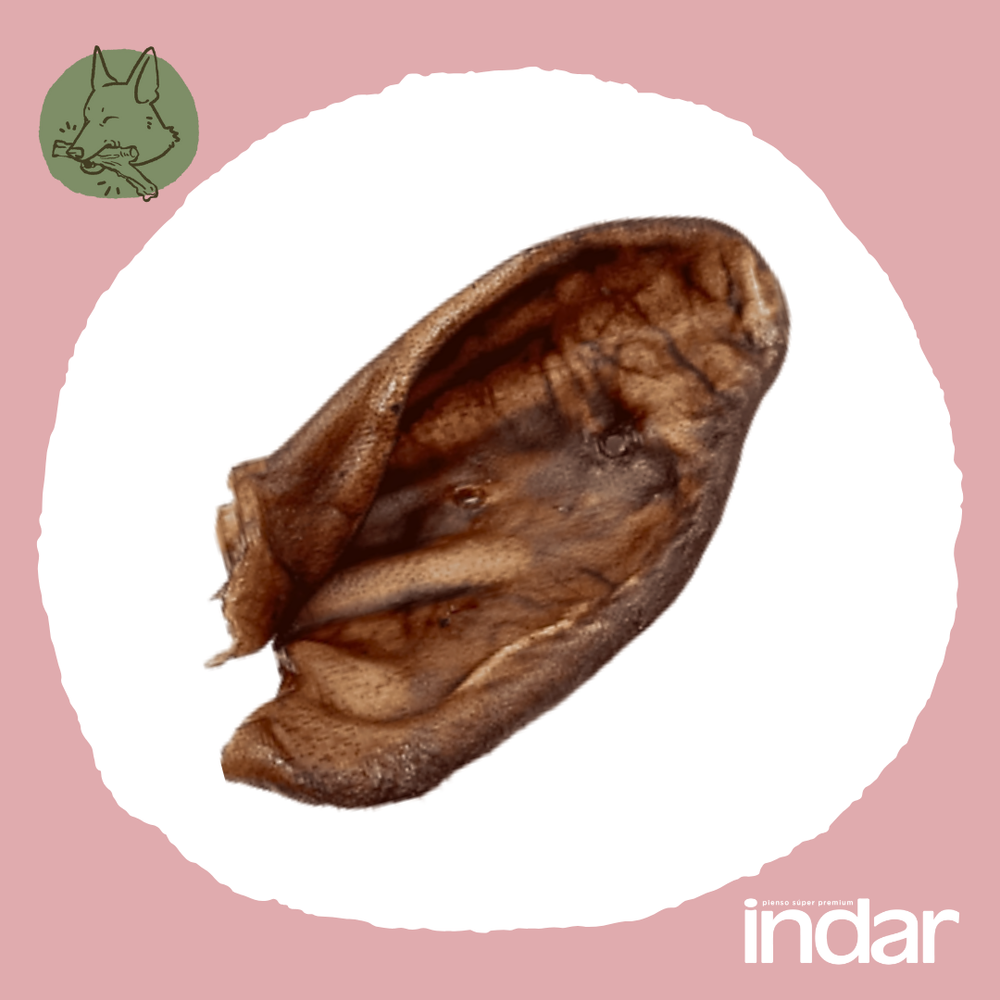 OREJA  DE CERDO