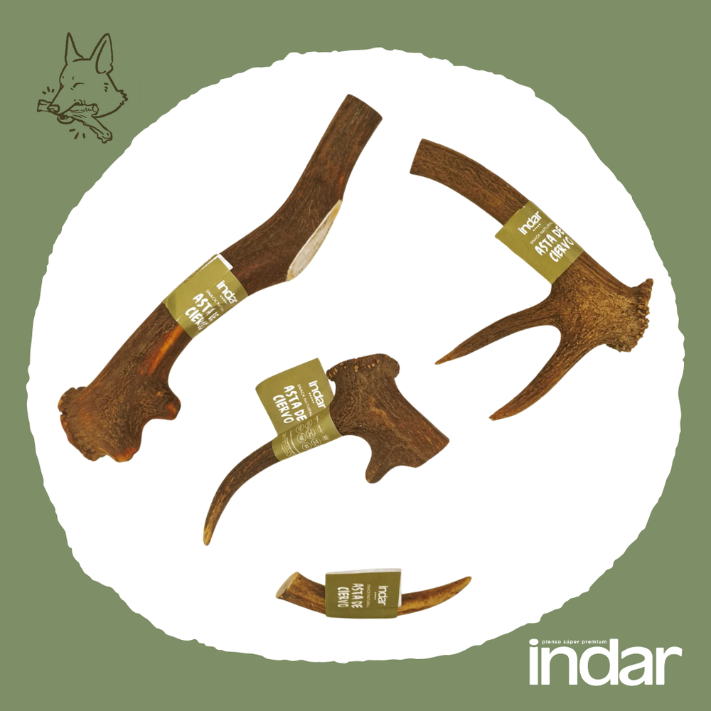 ASTAS DE CIERVO NATURALES PARA PERRO INDAR