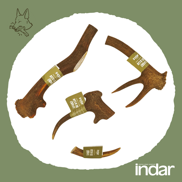 ASTAS DE CIERVO NATURALES PARA PERRO INDAR