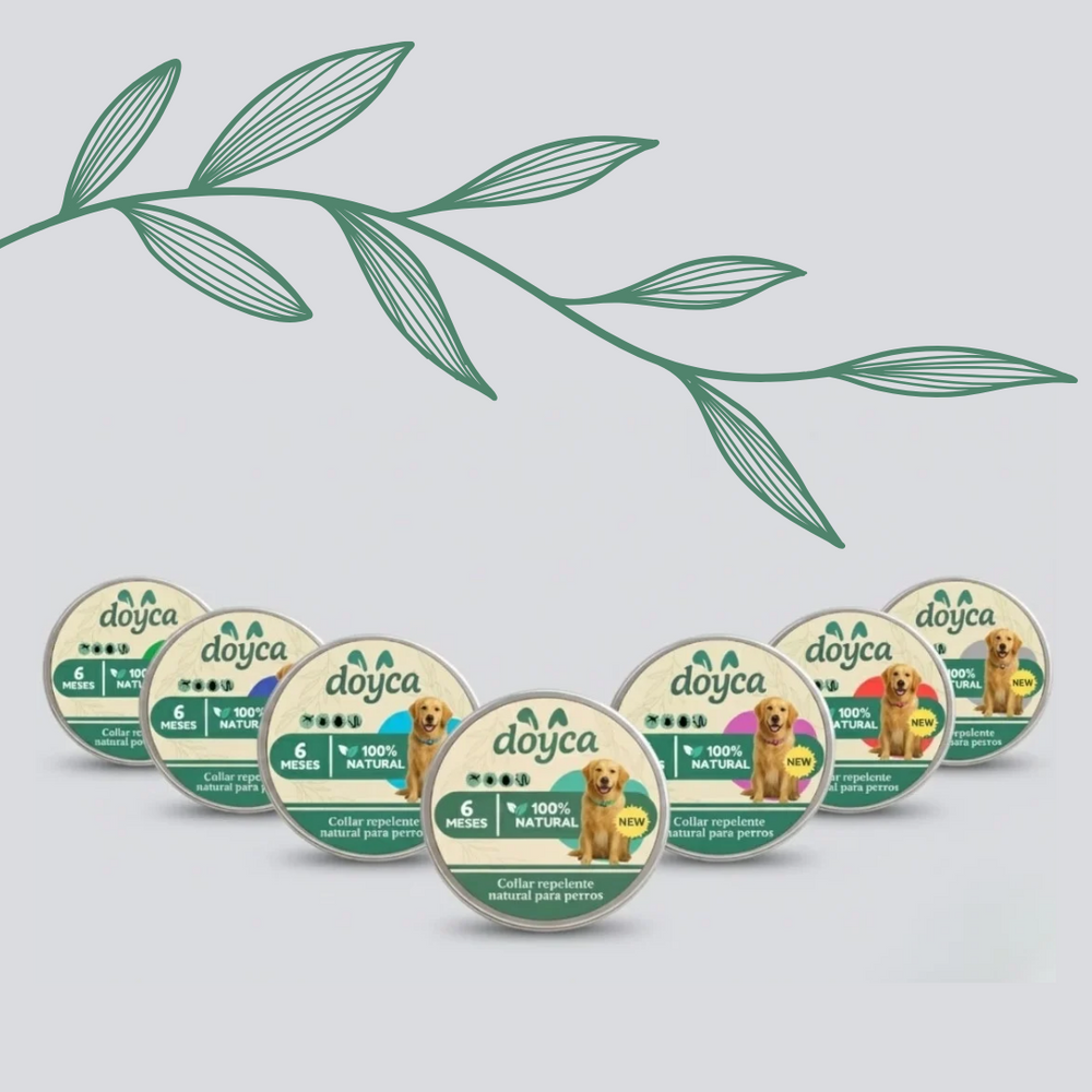 COLLAR ANTIPARASITARIO NATURAL PARA PERROS DOYCA
