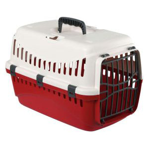 TRANSPORTIN GATO EXPEDION
