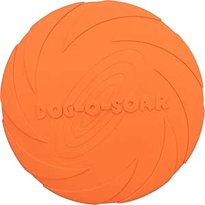 FRISBEE DISCO 22CM