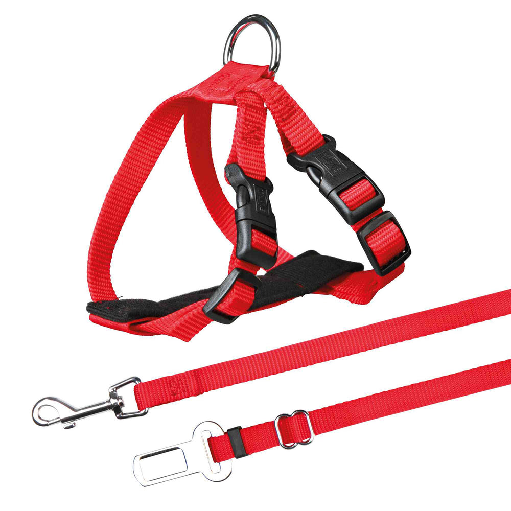 ARNES CON CINTURON SEGURIDAD GATO