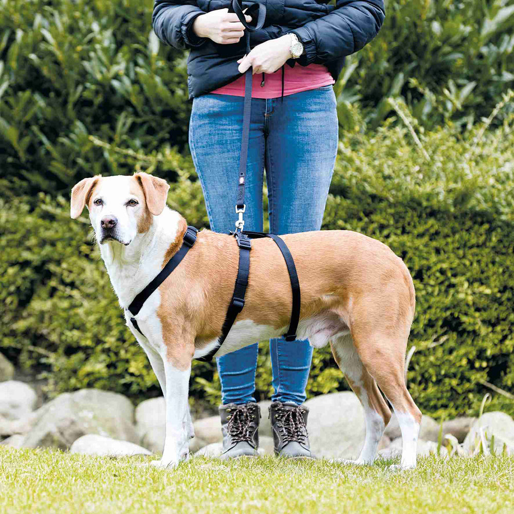 ARNES GUIA ANTIFUGAS STAY TRIXIE PERROS