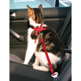 ARNES CON CINTURON SEGURIDAD GATO