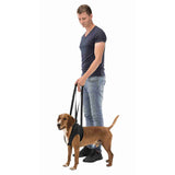 ARNES ANDADOR