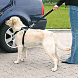 ARNES CON ENGANCHE PARA COCHE PERRO TRIXIE