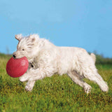 FRISBEE DISCO 18CM