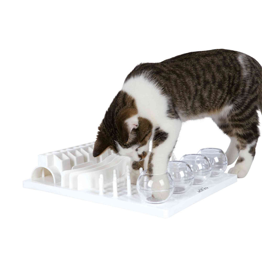 JUEGO INTERACTIVO FUN BOARD