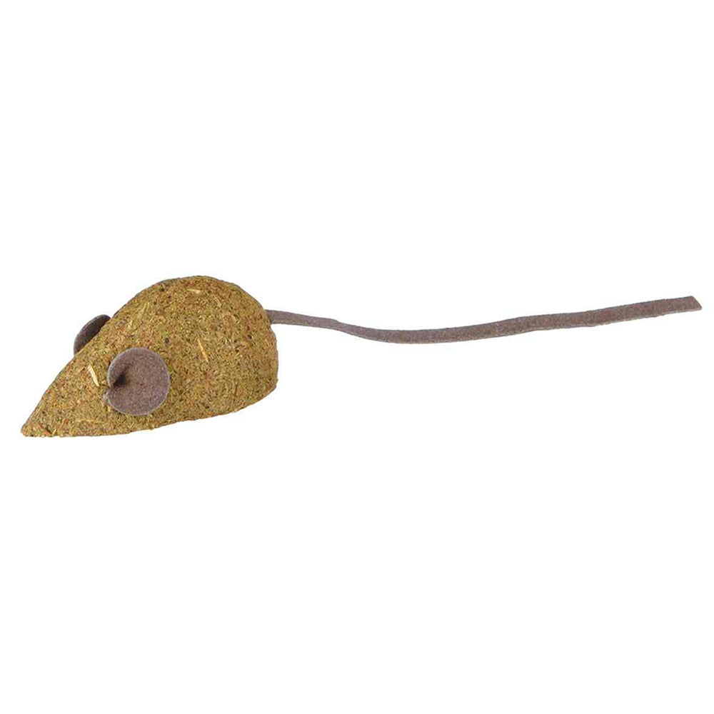 RATON CATNIP