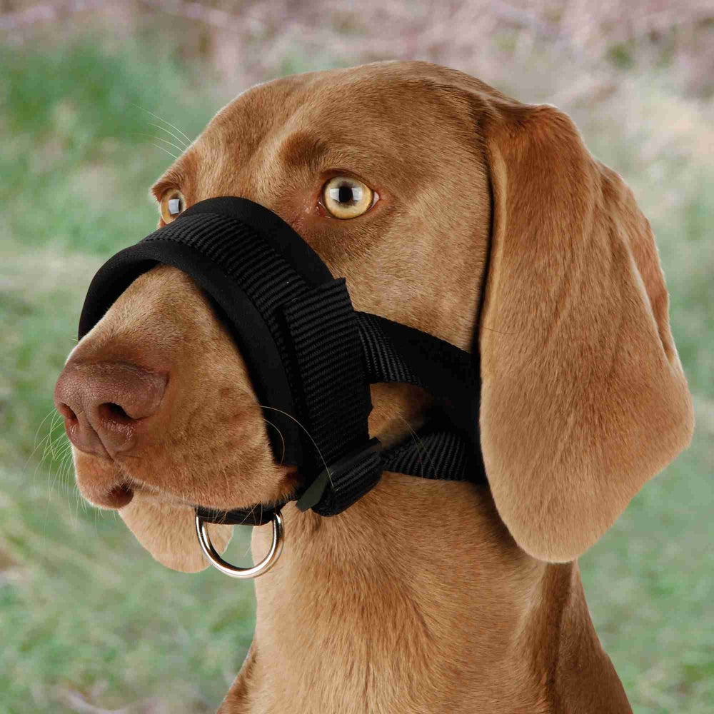 BOZAL NYLON AJUSTABLE