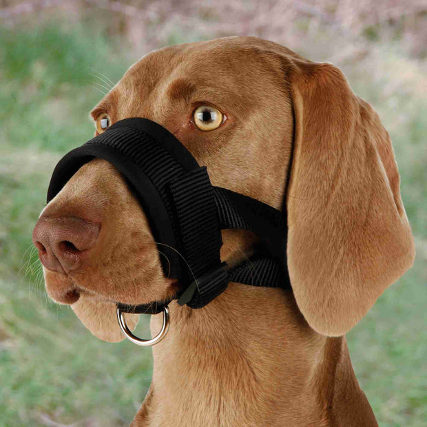BOZAL NYLON AJUSTABLE