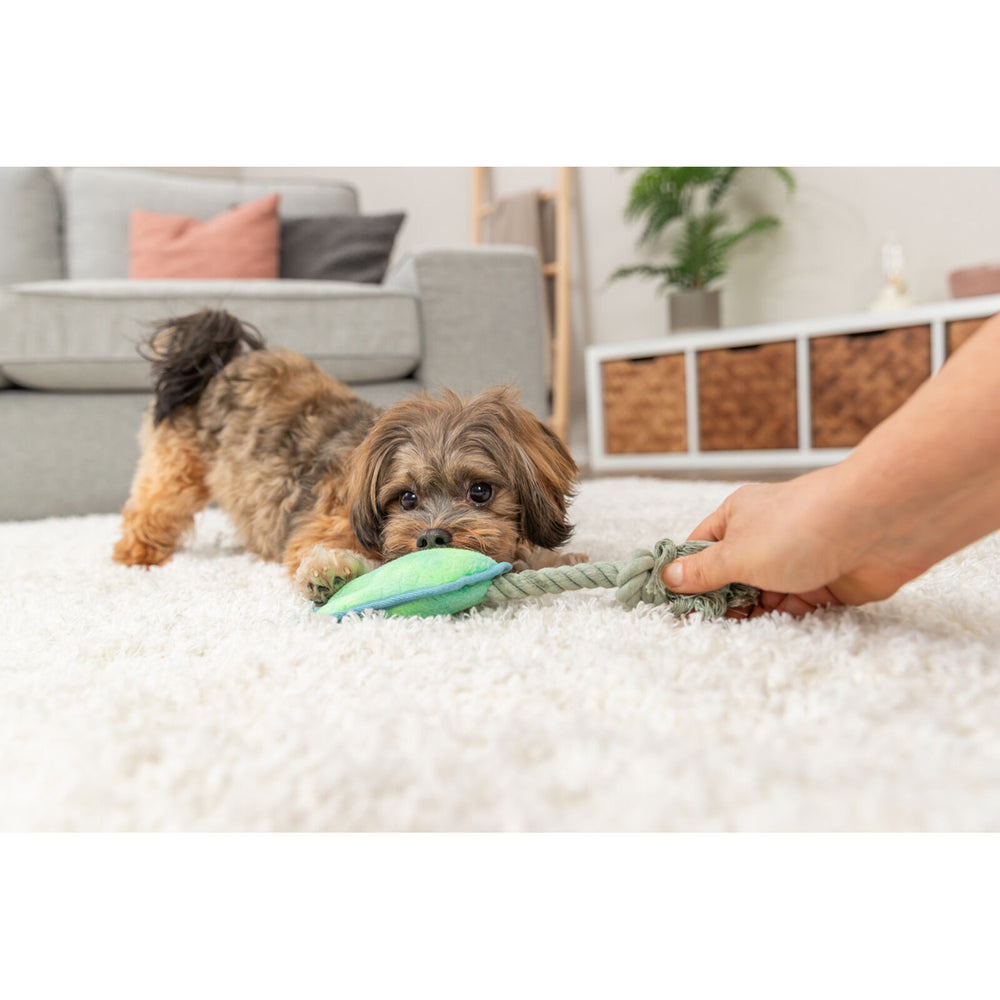 JUGUETE MONSTRUOSO PERRO TRIXIE