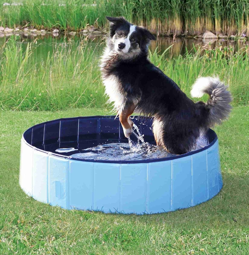 PISCINA PERRO TRIXIE