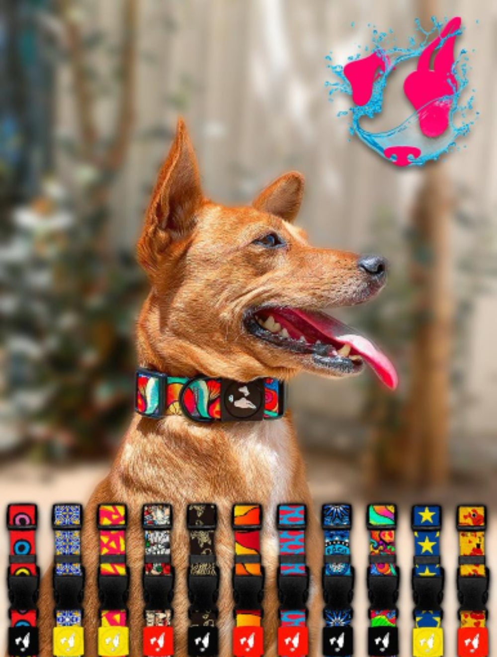 SET COLLAR Y CORREA POCOPANO