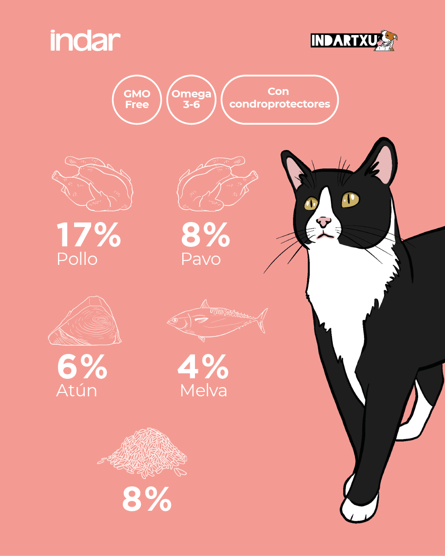 KATU ESTERILIZE - Gato esterilizado - INDAR alimento completo súper premium