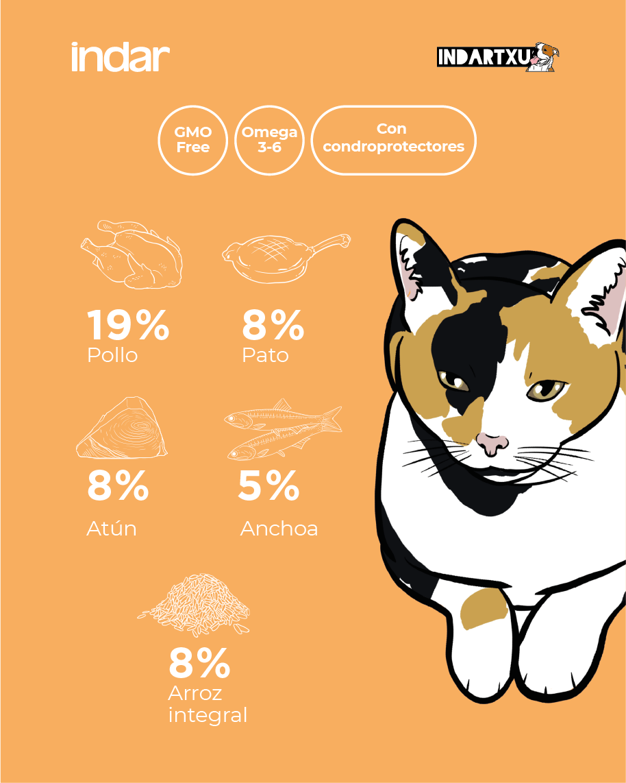 KATU - Gato adulto - INDAR alimento completo súper premium