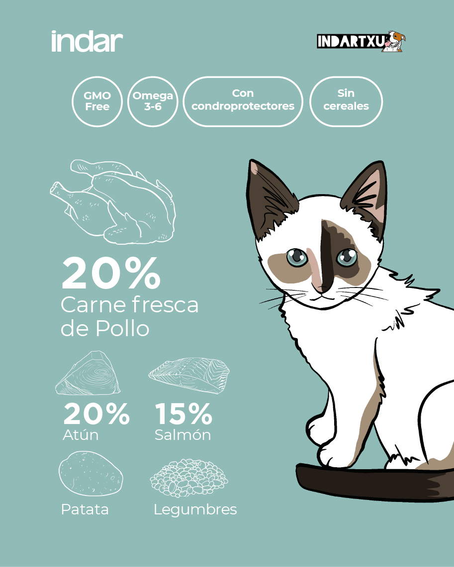 KATUTXO BASATI - Gatito cachorro, SIN cereales - INDAR alimento completo súper premium