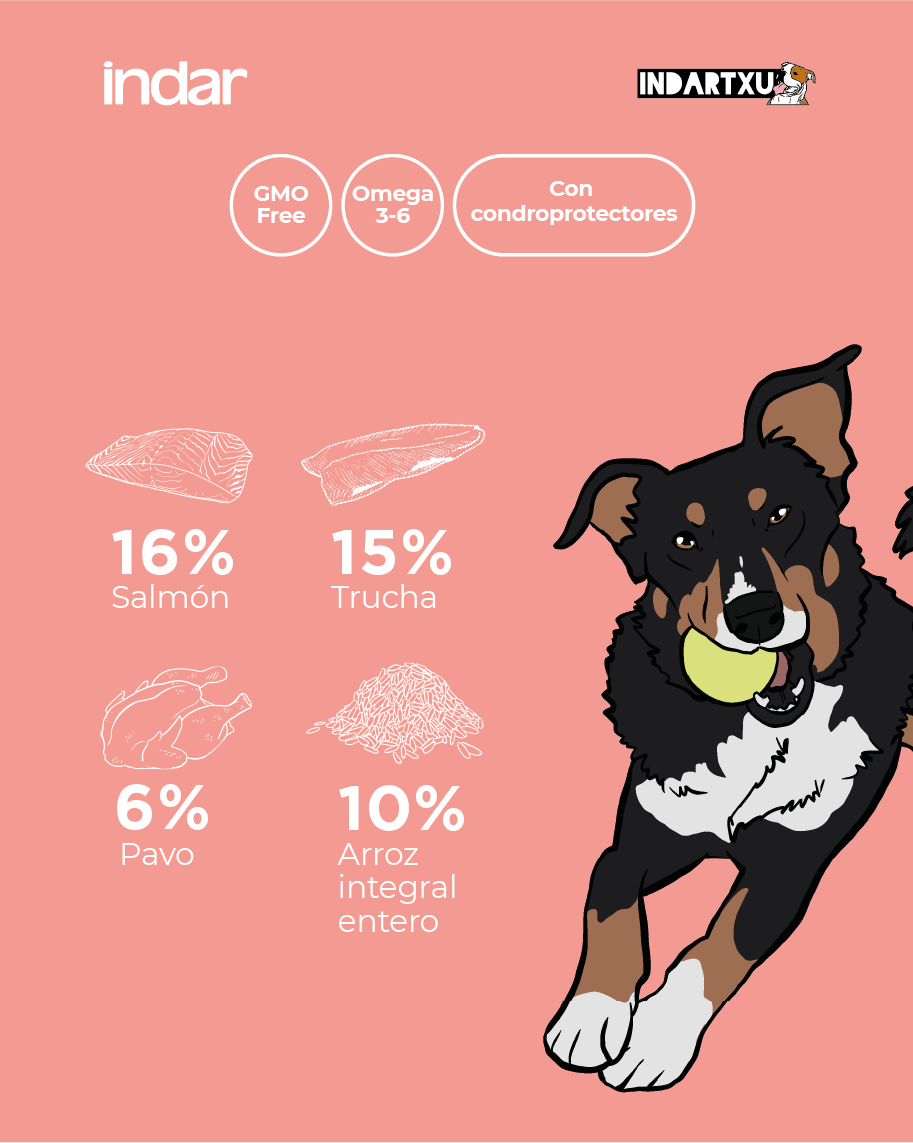 ARRAIN - perro todas las razas, base de pescado y arroz - INDAR alimento completo súper premium
