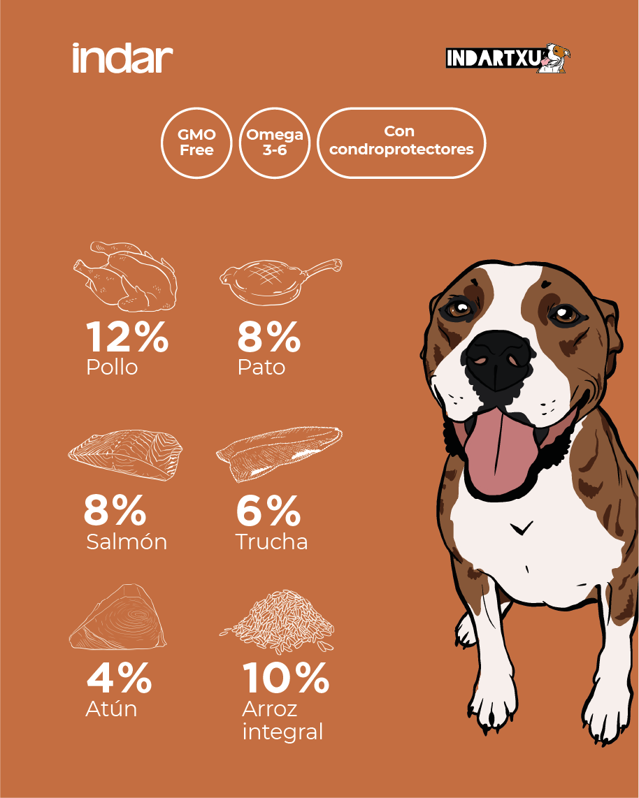 DIGESTIO - Perro, todas las razas, digestivo - INDAR alimento completo súper premium