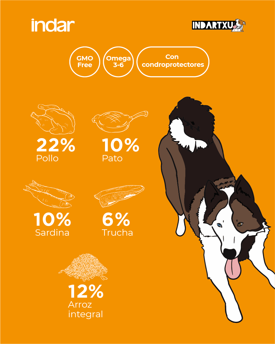 JOLAS - Perro, todas las razas, alta energía - INDAR alimento completo súper premium