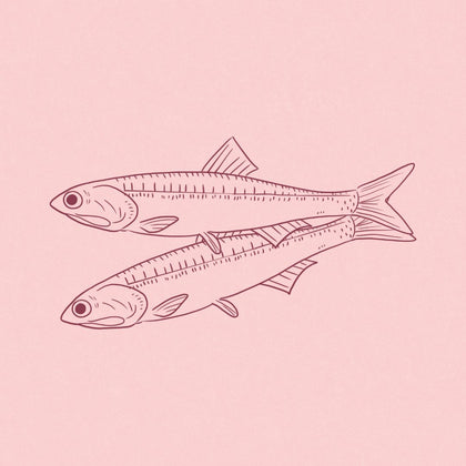 Anchoveta · 3%