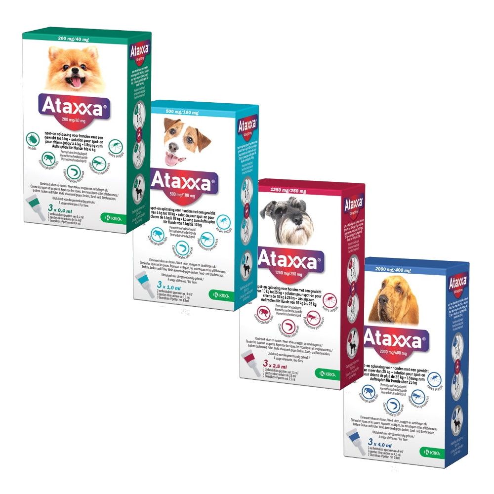 PIPETAS PERRO ATAXXA