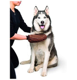 DIRTY DOG MANOPLA Y TOALLA SUPERABSORBENTES