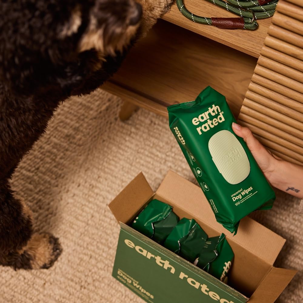 TOALLITAS BIODEGRADABLES EARTH RATED