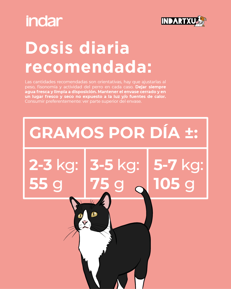 KATU ESTERILIZE - Gato esterilizado - INDAR alimento completo súper premium