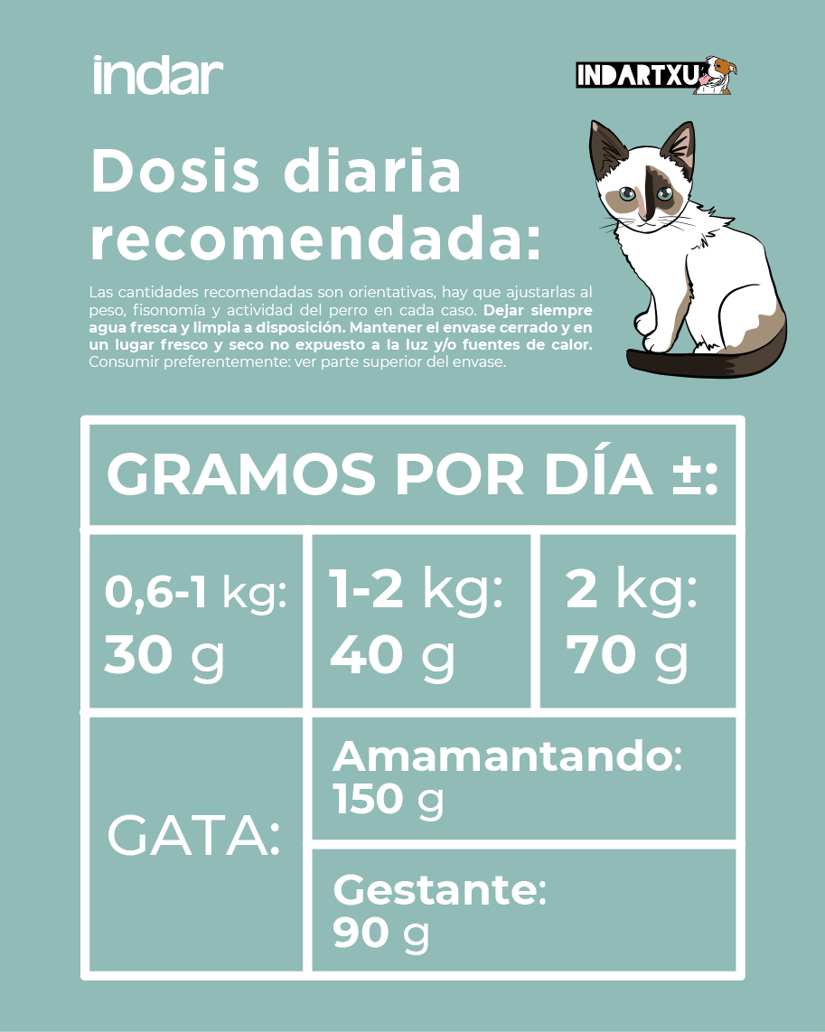 KATUTXO BASATI - Gatito cachorro, SIN cereales - INDAR alimento completo súper premium