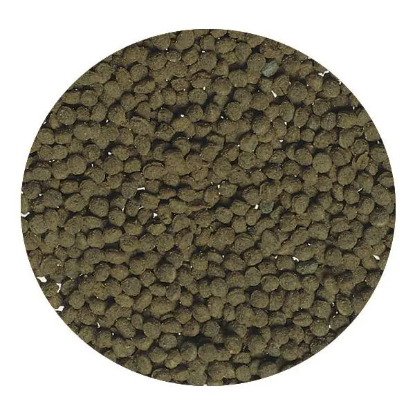 ALIMENTO PARA CARPINES Y PECES DE AGUA FRÍA TETRAMIN
