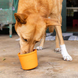 LICKIMAT YOGGIE POT