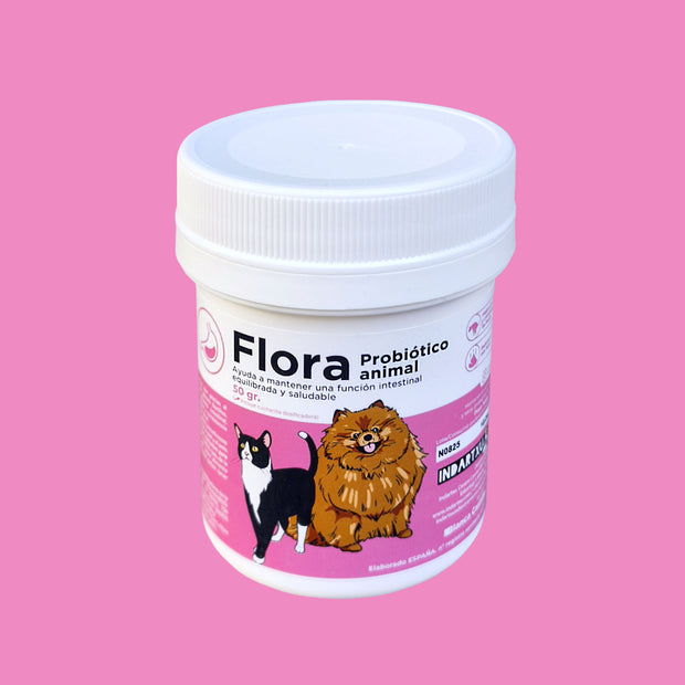 Probiótico FLORA - Equilibrio intestinal y digestivo para perros y gatos - Complemento alimenticio INDAR