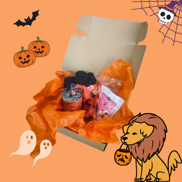 Boo basket para perro