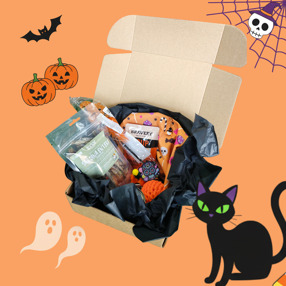Boo basket para gato