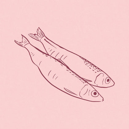 Sardina · 3%